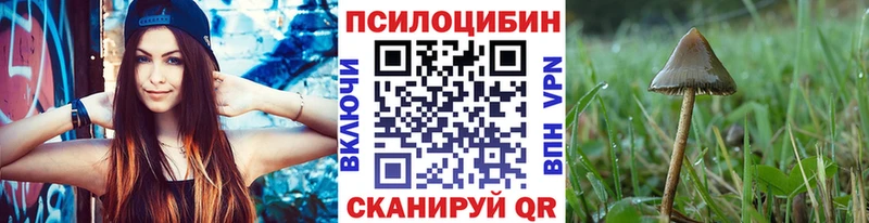 Псилоцибиновые грибы GOLDEN TEACHER  Свирск 